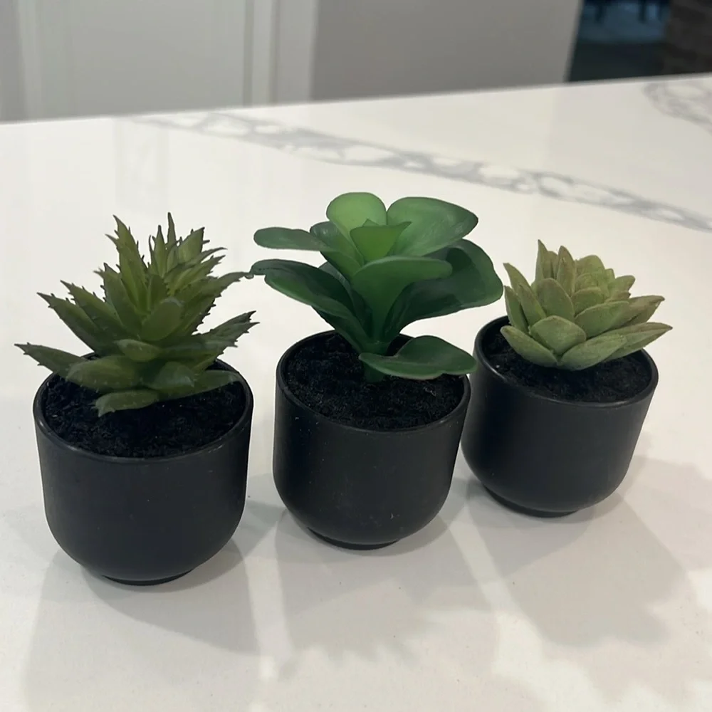 🌿Cute. Mini Plants 3pc